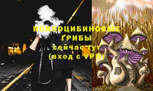 прущие крисы Арсеньев