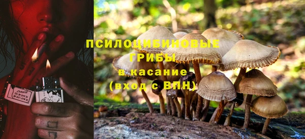 прущие крисы Арсеньев