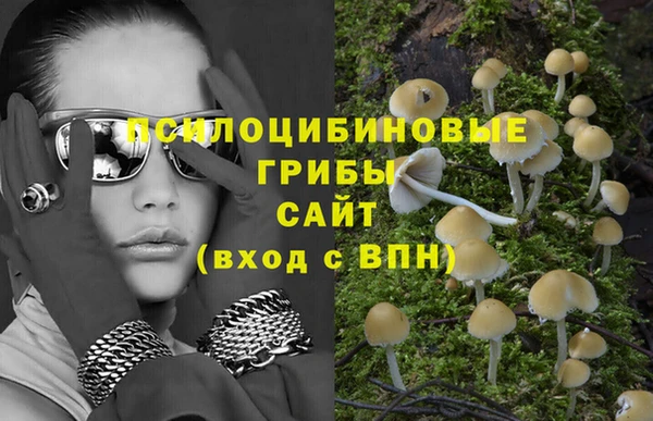 mdpv Елизово